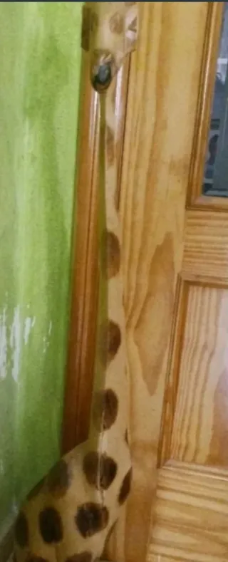Lote 7 figuras madera pie madera y ébano