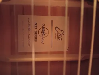 Guitarra Acústica Marrón, EKO modelo NXT018