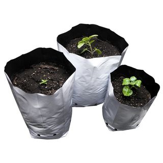 Bolsas Cultivo Blancas 8L (2 Gal.) - Pack 50uds