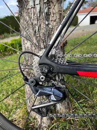 Coluer Carbono | Full Ultegra 11v | Mavic