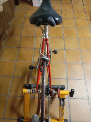 Bicicleta Bottecchia Clásica - Ideal Rodillo