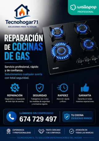 REPARACIÓN DE COCINAS DE GAS