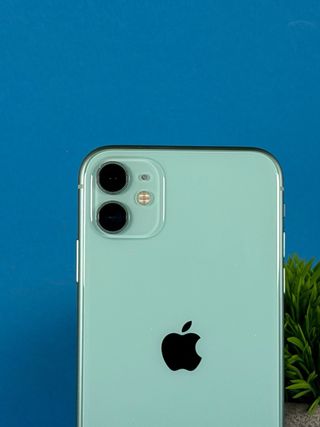 iPhone 11 Verde