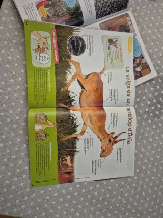 Pack 2 Revistas de plantas y prehistoria