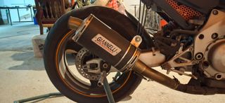 Honda CBR 600 F4  1999