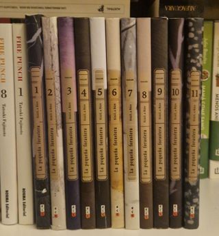 Manga La pequeña forastera completo