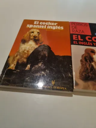 El Cocker spaniel inglés y El Cocker El inglés y e