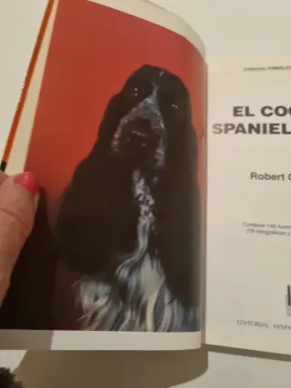El Cocker spaniel inglés y El Cocker El inglés y e