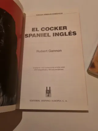 El Cocker spaniel inglés y El Cocker El inglés y e