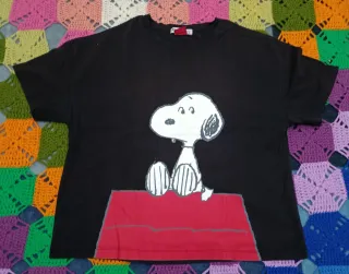 Lote 2 camisetas y pantalón corto