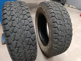 Neumático Goodyear Wrangler AT/R 205/70 R15