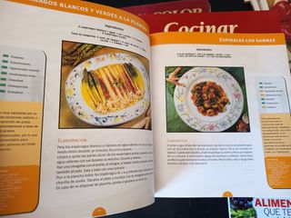 Lote 45 libros de cocina