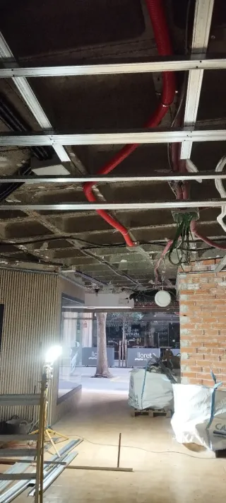 Manitas, Pintor profesional, plaquita