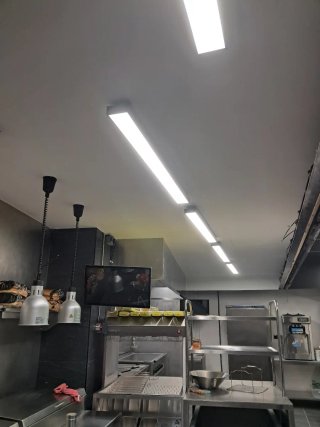 Manitas, Pintor profesional, plaquita
