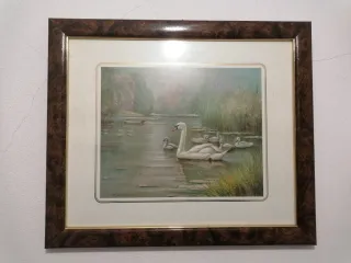 Quadro vintage cisnes e filhotes