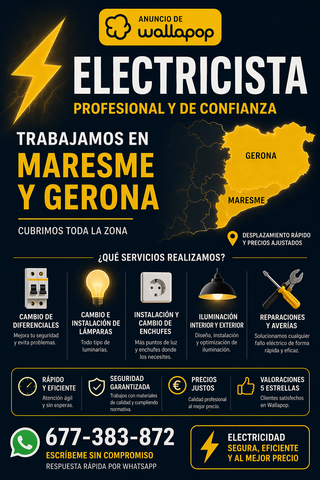 Electricista Profesional y de Confianza