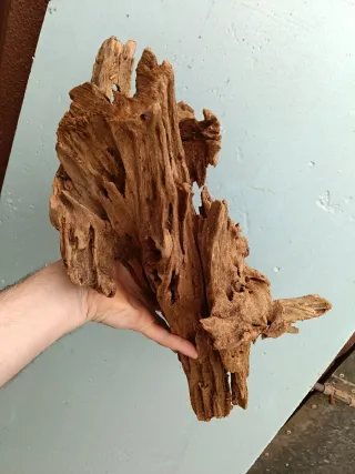 Tronco de Manglar para Acuario
