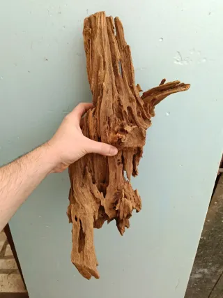 Tronco de Manglar para Acuario