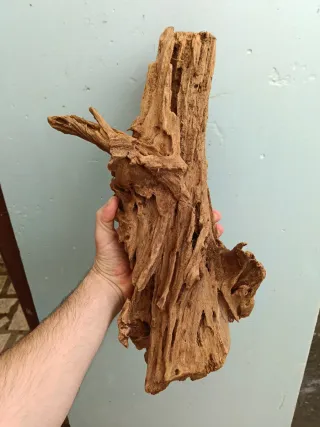 Tronco de Manglar para Acuario