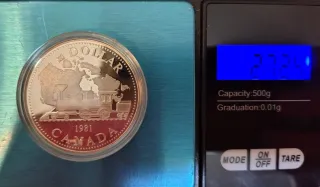 Dólar Canadá Plata Proof 1981 Isabel II