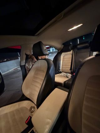 Volkswagen CC 2010
