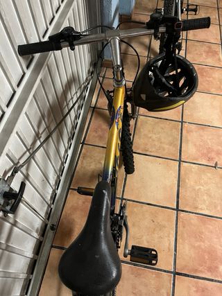 Bicicleta AGACE Joven
