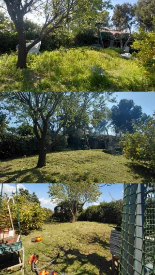 Desbroce y jardinero