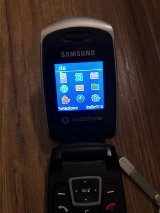Samsung SGH-C270 Cellulare Vintage