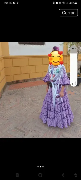 Vestido de flamenca