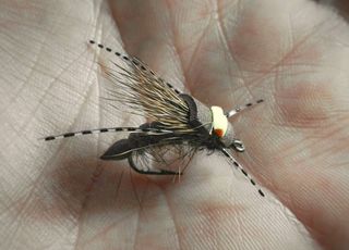 MOSCAS PARA LA PESCA DE BARBOS