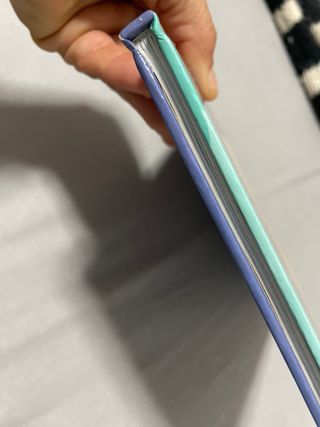 JULE Y LOS PIRATAS PATOSOS