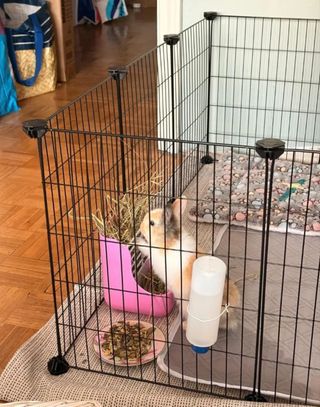 12 Paneles Jaula Metálica para Mascotas