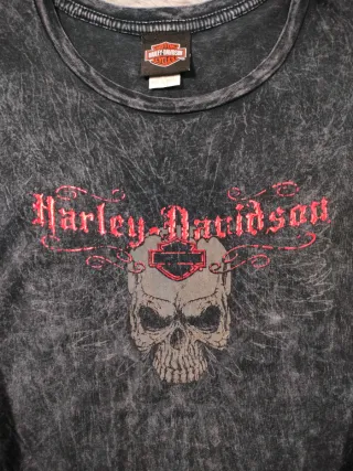 Camiseta Harley Davidson Michigan Lavado Ácido Roc