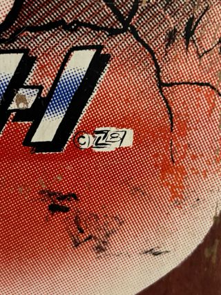 Skate Z Flex Old School 1986