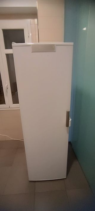 Nevera Balay una puerta