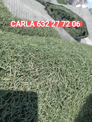 Venta césped artificial