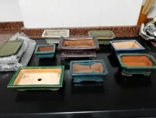 Lote 9 Macetas Bonsái Cerámica