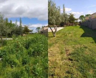 Desbroce y limpieza de parcelas