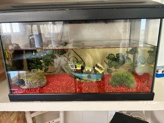 Acuario con grava roja y decoración