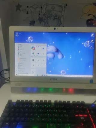 Ordenador  pantalla  2 en 1 MSI Adora 20 2BT .