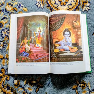 Il libro di Krsna