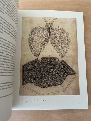 La Colección Bruni de microscopios