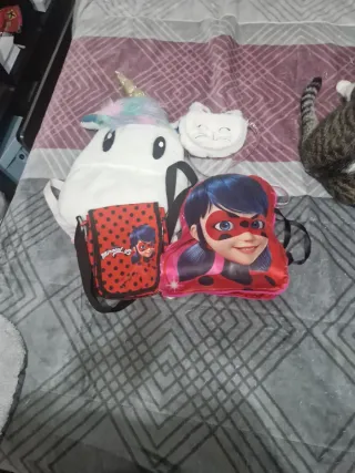 Lote de mochilas y bolso