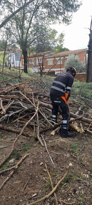 Limpieza,desbroce,poda y desescombro de parcelas