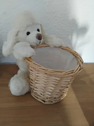 Precioso arreglo para San Jordi o día de la madre