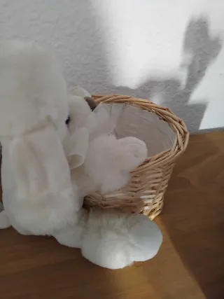 Precioso arreglo para San Jordi o día de la madre