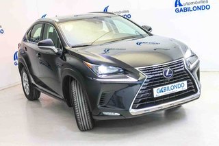 Lexus NX 2.5 300h Business 2WD