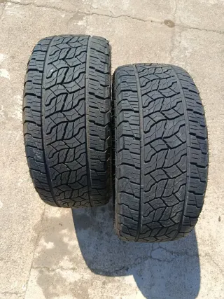 Pareja Neumáticos 255/45 R19 Comforser CF1500