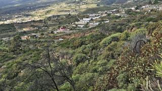 Terreno en venta en Arafo