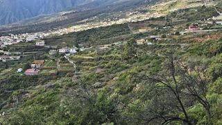 Terreno en venta en Arafo